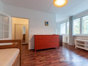 Pronájem bytu 1+kk, Praha - Podolí, Kaplická, 27 m2