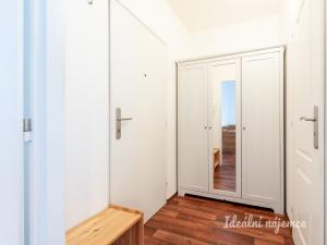 Pronájem bytu 1+kk, Praha - Podolí, Kaplická, 27 m2