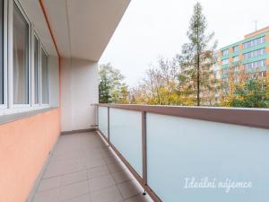 Pronájem bytu 1+kk, Praha - Podolí, Kaplická, 27 m2