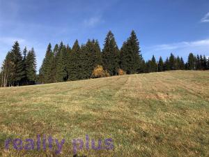 Prodej trvalého travního porostu, Bedřichov, 6951 m2