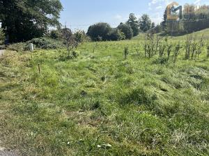 Prodej trvalého travního porostu, Rudoltice, 3383 m2