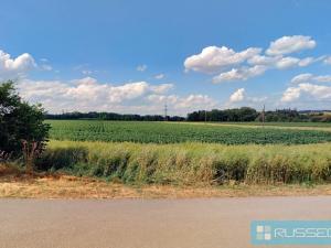 Prodej zemědělské půdy, Ořechov, 500 m2