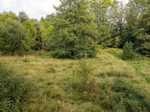 Prodej trvalého travního porostu, Liberec, U Tří studní, 6759 m2