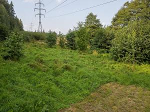 Prodej trvalého travního porostu, Liberec, U Tří studní, 6759 m2