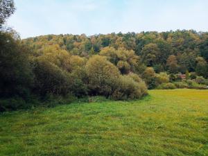 Prodej pozemku pro bydlení, Dolní Třebonín - Čertyně, 4166 m2