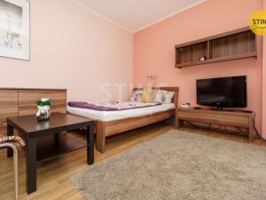 Pronájem bytu 1+kk, Ostrava, Michálkovická, 32 m2