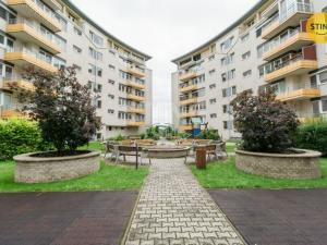 Pronájem bytu 1+kk, Ostrava, Michálkovická, 32 m2