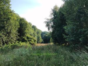 Prodej pozemku pro bydlení, Černá v Pošumaví, 2024 m2