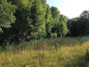 Prodej pozemku pro bydlení, Černá v Pošumaví, 2024 m2