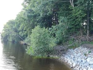 Prodej pozemku pro bydlení, Černá v Pošumaví, 2024 m2