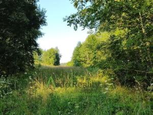 Prodej pozemku pro bydlení, Černá v Pošumaví, 2024 m2