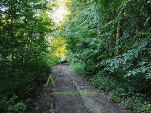 Prodej pozemku pro bydlení, Černá v Pošumaví, 2024 m2