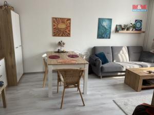 Pronájem bytu 2+kk, Opočno, Severní, 30 m2