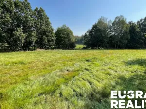 Prodej trvalého travního porostu, Šluknov, 14798 m2