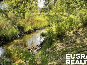 Prodej trvalého travního porostu, Šluknov, 14798 m2