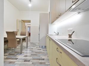 Pronájem bytu 1+1, Brno, Mášova, 55 m2