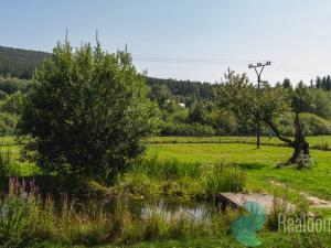 Prodej chalupy, Horní Stropnice - Hojná Voda, 142 m2