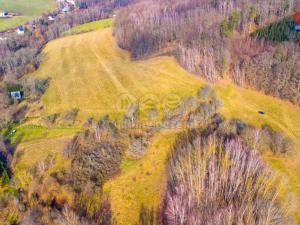 Prodej trvalého travního porostu, Žandov - Radeč, 3251 m2