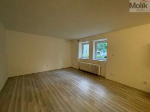 Pronájem bytu 1+kk, Litvínov - Horní Litvínov, Podkrušnohorská, 27 m2