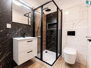 Pronájem bytu 1+kk, Třebíč, Karlovo nám., 29 m2