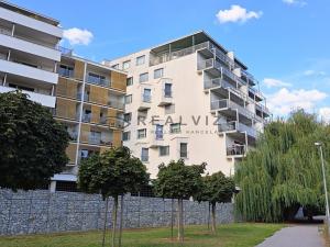 Pronájem bytu 1+kk, České Budějovice, Volejbalistů, 44 m2