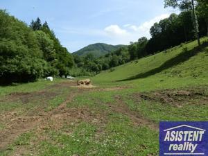 Prodej trvalého travního porostu, Vernířovice, 75965 m2