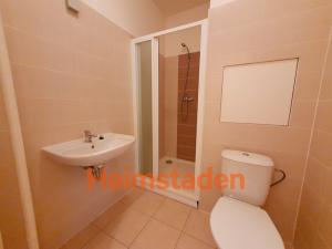 Pronájem bytu 1+kk, Karviná - Hranice, Slovenská, 30 m2