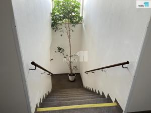 Pronájem bytu 2+kk, Česká Lípa, Paní Zdislavy, 64 m2