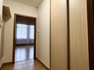 Pronájem bytu 1+kk, Opava, Lazebnická, 40 m2