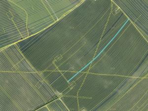 Prodej zemědělské půdy, Moravská Nová Ves, 7471 m2