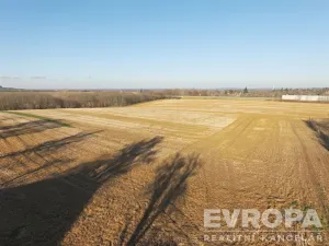 Prodej pozemku pro bydlení, Kolín, 7000 m2