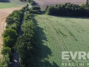 Prodej pozemku pro bydlení, Kolín, 7000 m2