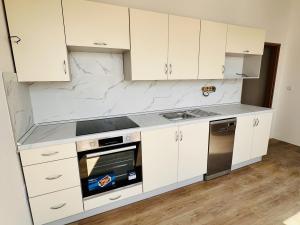 Pronájem bytu 3+kk, Teplice, Brožíkova, 73 m2