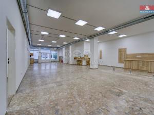 Pronájem obchodního prostoru, Plzeň - Bolevec, Sokolovská, 310 m2