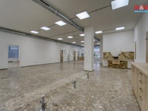 Pronájem obchodního prostoru, Plzeň - Bolevec, Sokolovská, 310 m2