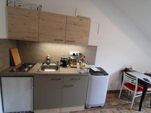 Prodej bytu 1+kk, Karlovy Vary, Svahová, 22 m2