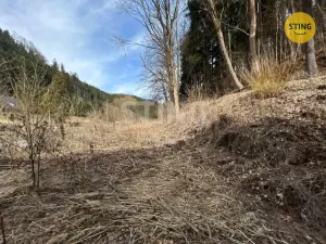 Prodej rodinného domu, Jindřichov, 700 m2