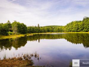 Prodej pozemku pro bydlení, Člunek - Kunějov, 7037 m2