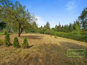 Prodej rodinného domu, Stará Paka - Ústí, 190 m2