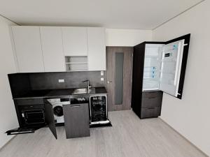 Pronájem bytu 1+kk, Brno, Trnitá, 26 m2