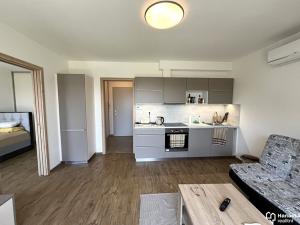 Pronájem bytu 2+kk, Olomouc, Dolní Novosadská, 41 m2