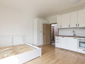 Pronájem bytu 1+kk, Praha - Chodov, Klapálkova, 32 m2