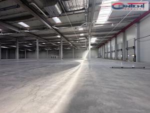 Pronájem skladu, Velký Osek, Prokopa Holého, 15000 m2