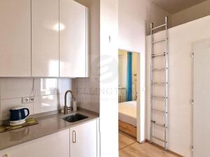 Pronájem bytu 2+kk, Praha - Vinohrady, Šafaříkova, 39 m2