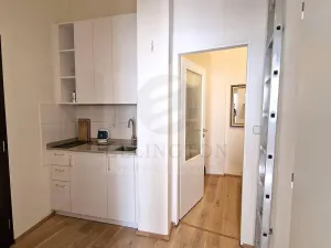 Pronájem bytu 2+kk, Praha - Vinohrady, Šafaříkova, 39 m2