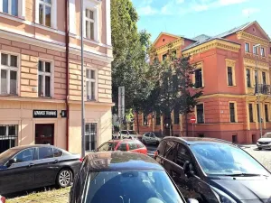 Pronájem bytu 2+kk, Praha - Vinohrady, Šafaříkova, 39 m2