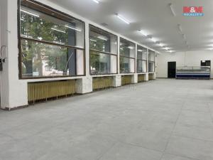 Pronájem obchodního prostoru, Holice - Staré Holice, Staroholická, 430 m2