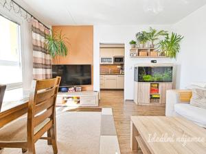 Pronájem bytu 3+1, Brno, Švermova, 77 m2