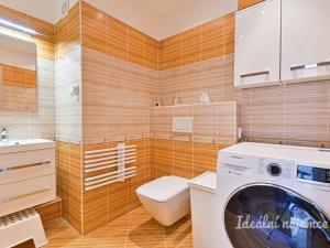 Pronájem bytu 3+1, Brno, Švermova, 77 m2