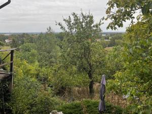 Prodej rodinného domu, Všetaty - Přívory, Ke Stráni, 100 m2